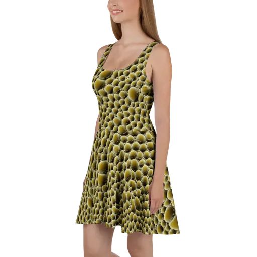 Golden Burrow on a Skater Dress