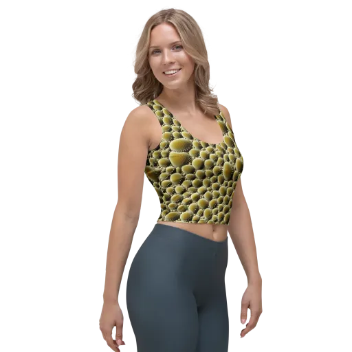 Golden Burrow on a Crop Top