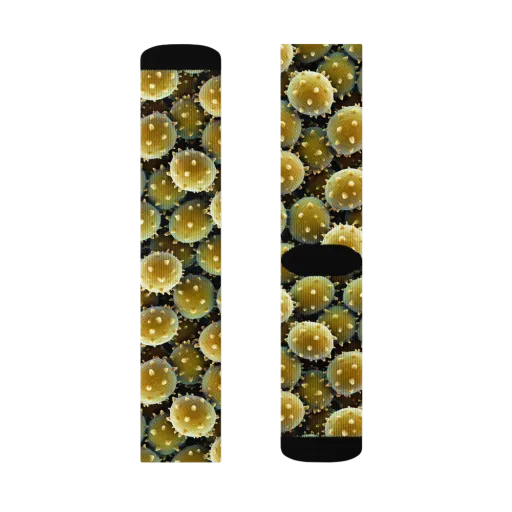Golden Spore on a Socks