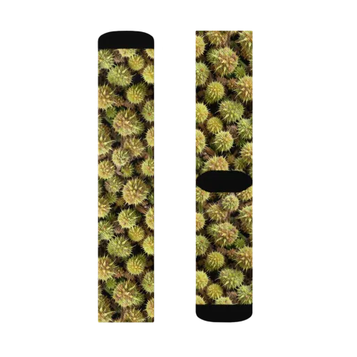 Thornfruit Meadow on a Socks