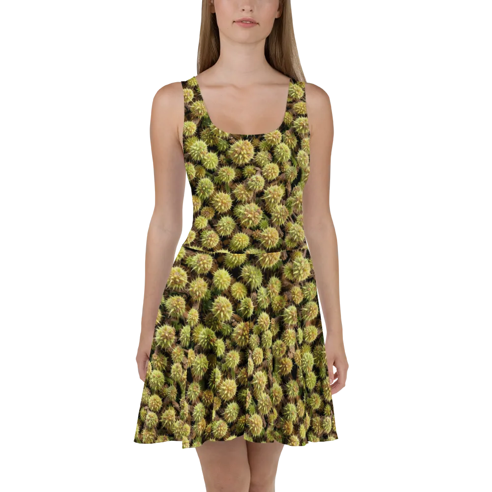 Thornfruit Meadow on Skater Dress — Front