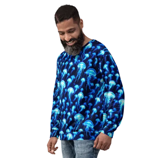 Blue Lanterns on a Sweatshirt