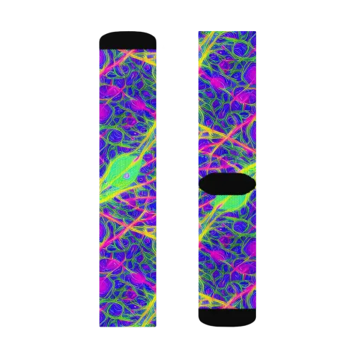 Radiant Wilds on a Socks