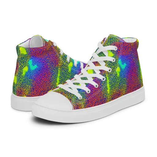 Prismatic Web on a Men's High Top Canvas Shoes