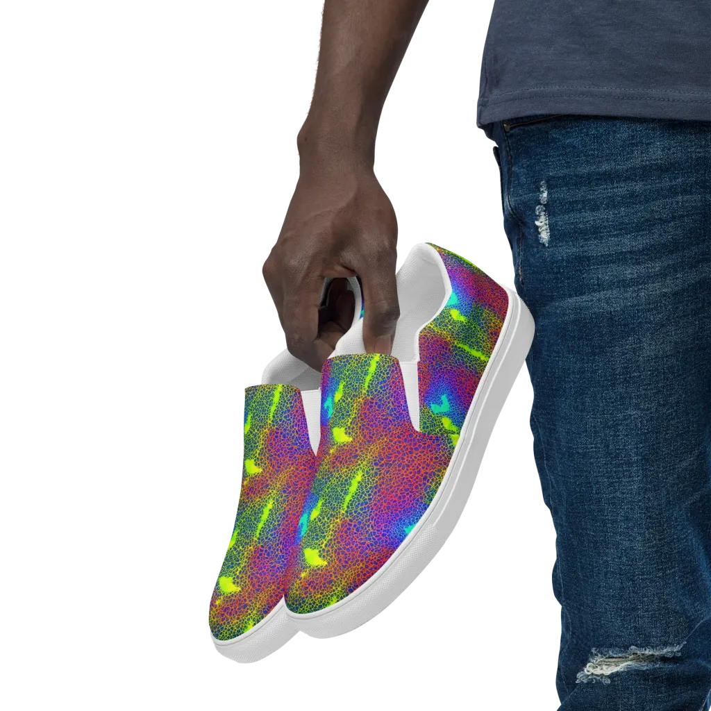 Prismatic Web on Men's Slip-On Canvas Shoes — Left Front