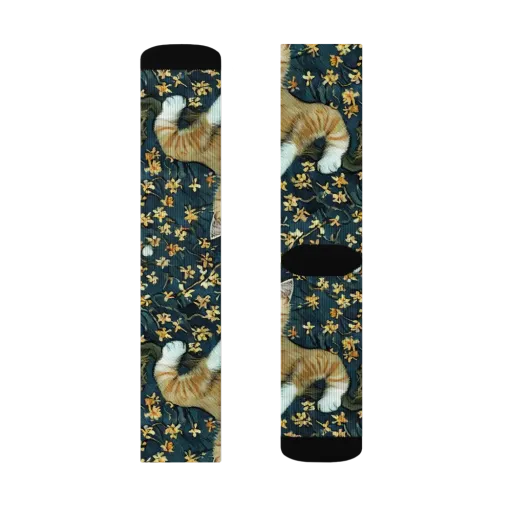 Psychedelic, Aries Moross on a Socks