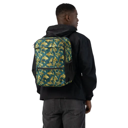 Tidal Aureole on a Utility Backpack
