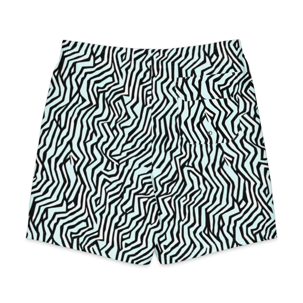 Echoing Stripes on Men's Board Shorts — Back