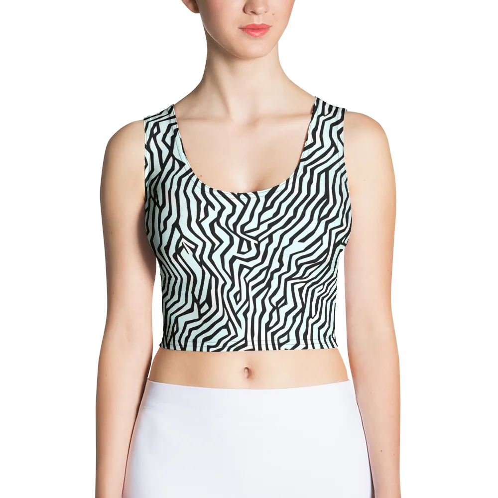 Echoing Stripes on Crop Top — Front