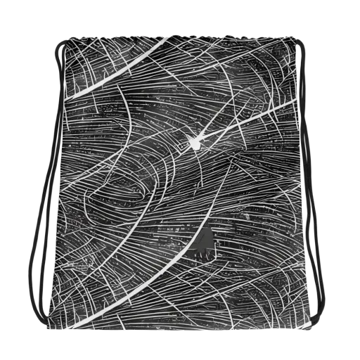 Silver Echo on a Drawstring Bag