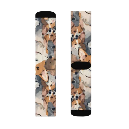 Pembroke Parade on a Socks