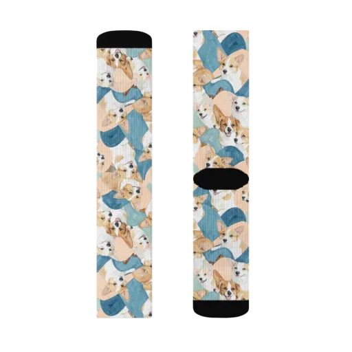 Corgi Cove on a Socks