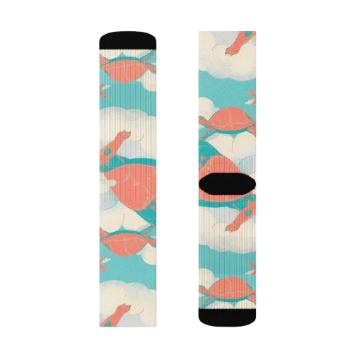 Cloudshell Migration on a Socks