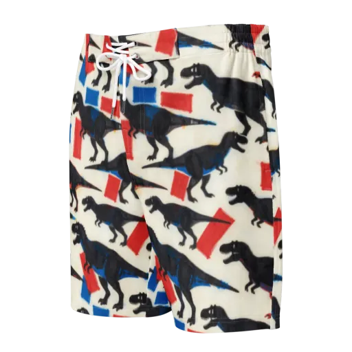 Cretaceous Blocks on a Men's Board Shorts