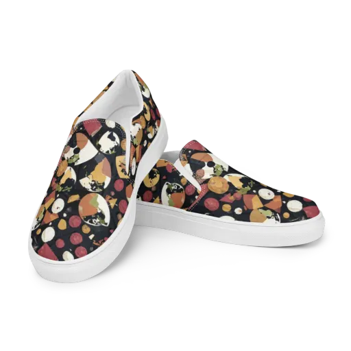 Orbiting Correspondence on a Men's Slip-On Canvas Shoes