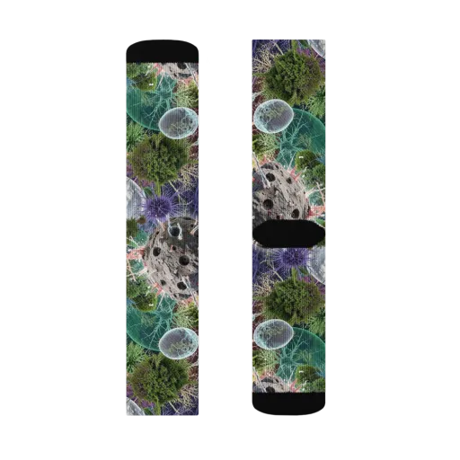 Microbial Garden on a Socks