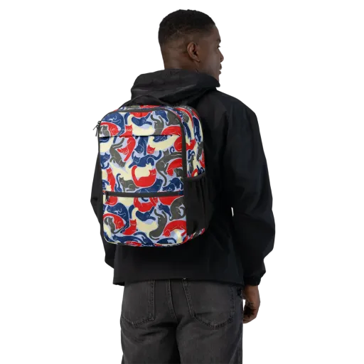 Crimson Catnap on a Utility Backpack