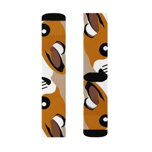 Cinnamon Paws on a Socks