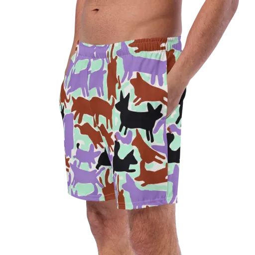 Catwalk Confetti on a Swim Trunks