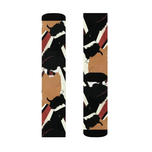 Backstreet Cats on a Socks