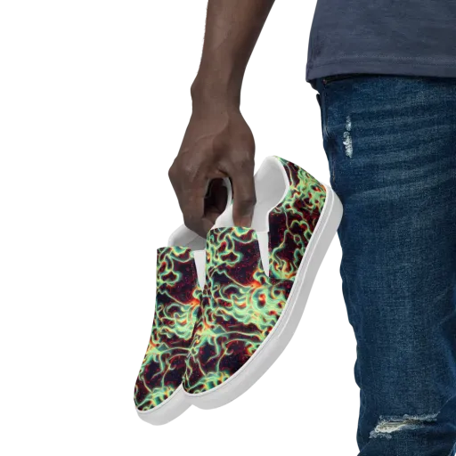 Chimeric Currents on a Men's Slip-On Canvas Shoes