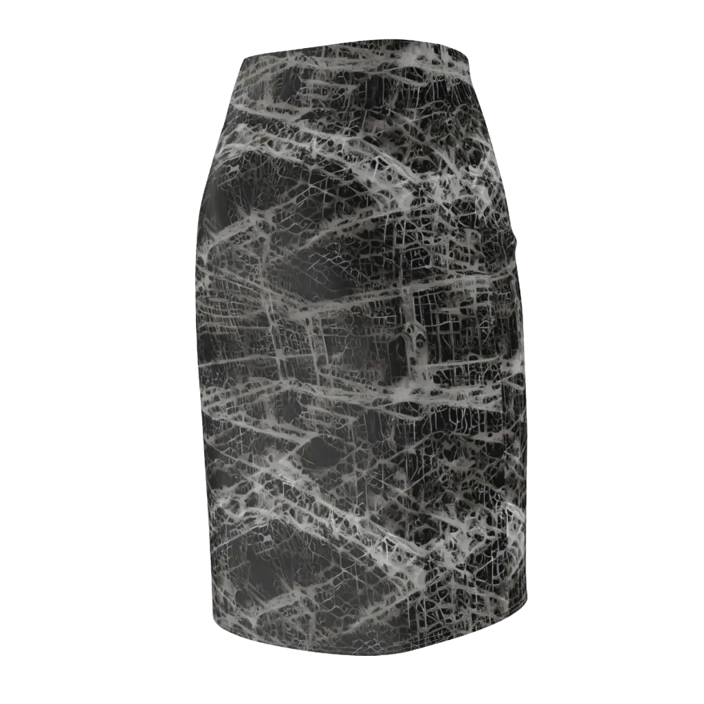 Monochrome Mesh on Pencil Skirt — Back Side