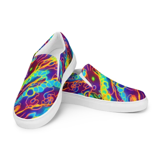 Endara Eclipse on a Men's Slip-On Canvas Shoes