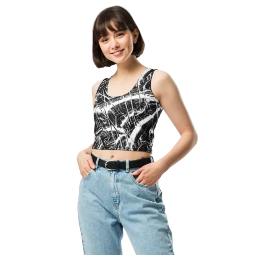 Ferriss Fractals on a Crop Top