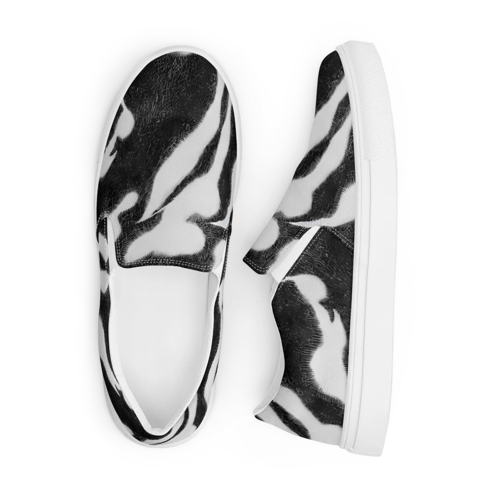 Ray's Illusion on Men's Slip-On Canvas Shoes — Front