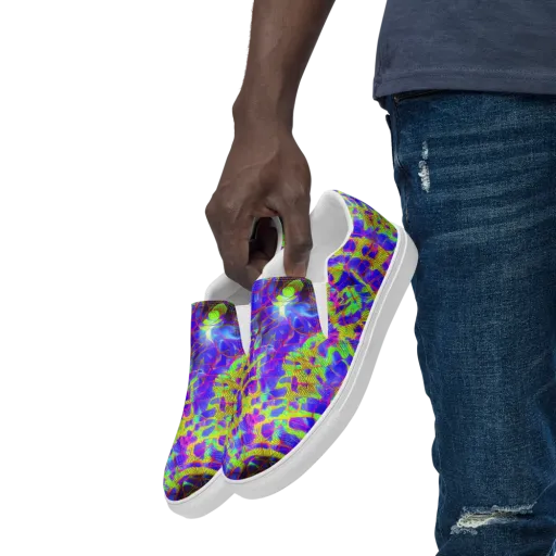 Victoire Vortex on a Men's Slip-On Canvas Shoes