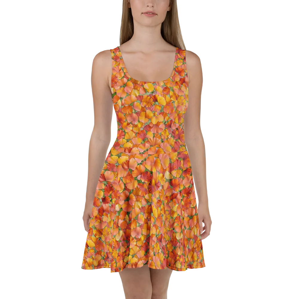 Amber Reverie on Skater Dress — Front