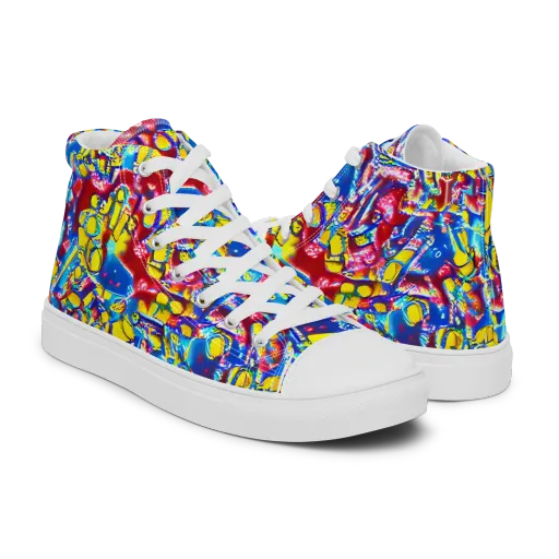 Radiant Disorder on a Men's High Top Canvas Shoes