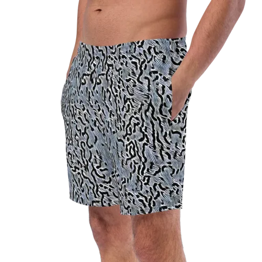 Noir Zebra on a Swim Trunks