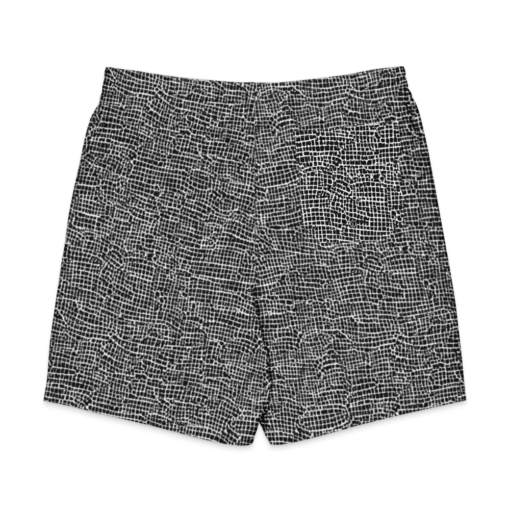 Gridstorm on Men's Board Shorts — Back