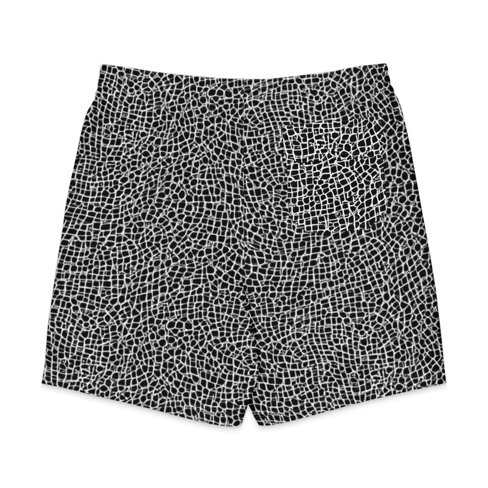Lacquer Grid on Men's Board Shorts — Back