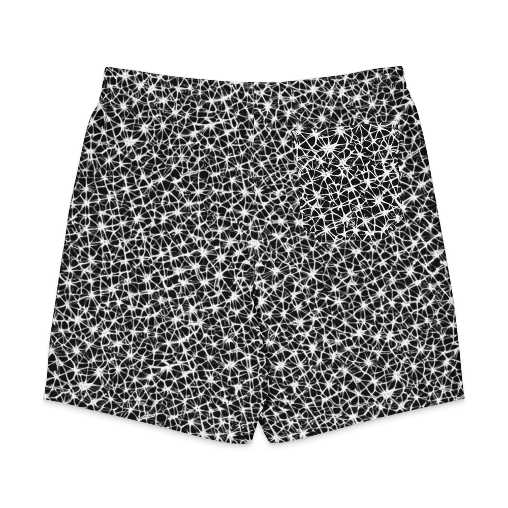Ink Web on Men's Board Shorts — Back