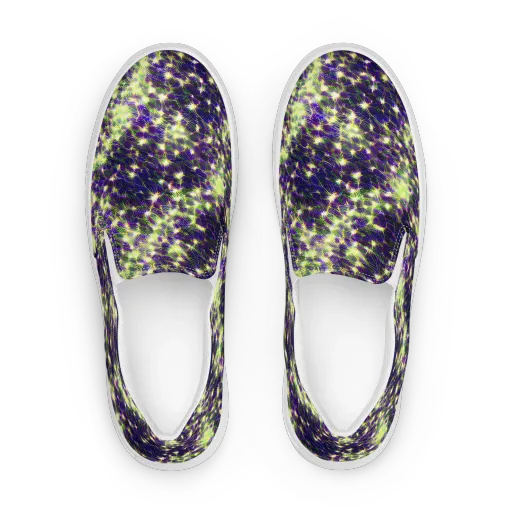 Cosmic Dandelion on a Women's Slip-On Canvas Shoes