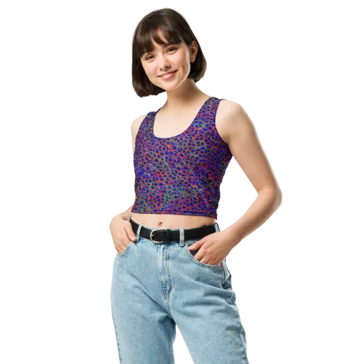 Sonic Mosaic on a Crop Top