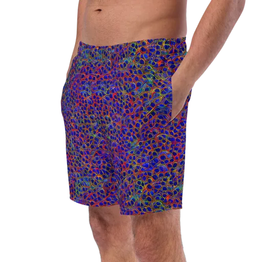 Sonic Mosaic on a Swim Trunks