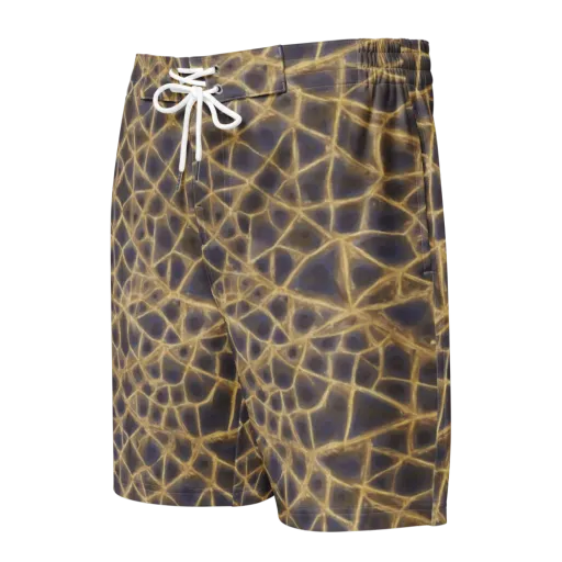Gilded Labyrinth on a Men's Board Shorts