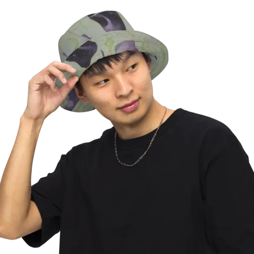 Sage Galaxy on a Reversible Bucket Hat