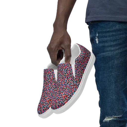 Color Circuit on a Men's Slip-On Canvas Shoes