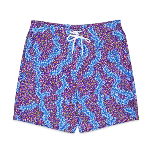 Prismatic Current on a Men's Board Shorts