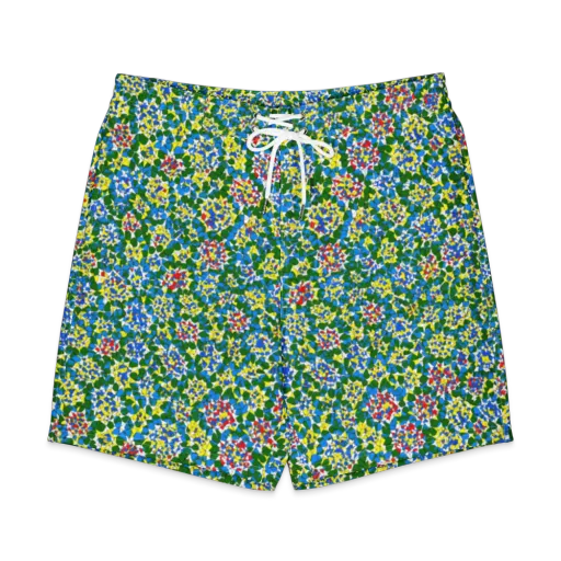 Chromatic Pebble Garden on a Men's Board Shorts