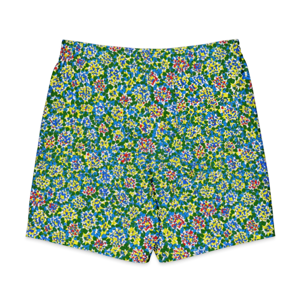 Chromatic Pebble Garden on Men's Board Shorts — Back