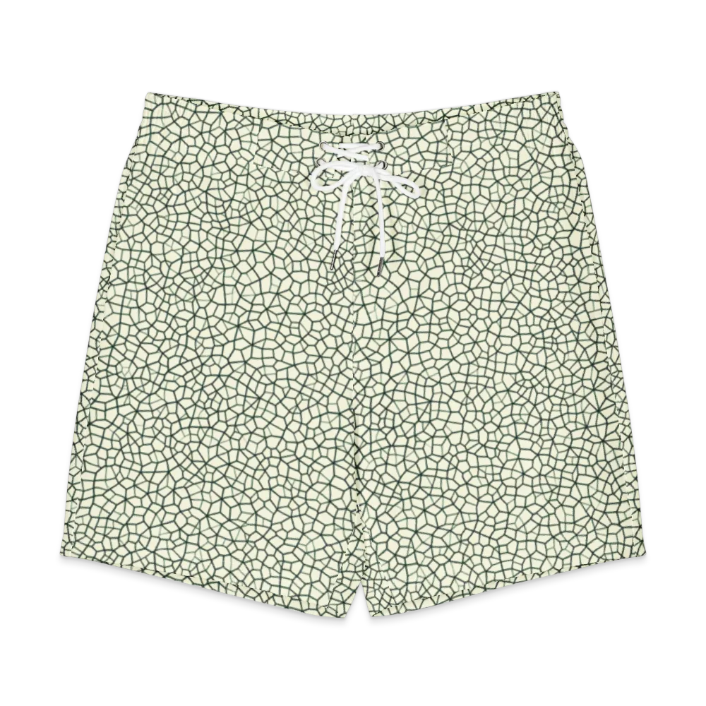 Verdant Fissure on Men's Board Shorts — Front