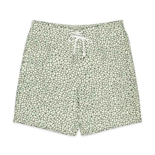 Verdant Fissure on a Men's Board Shorts