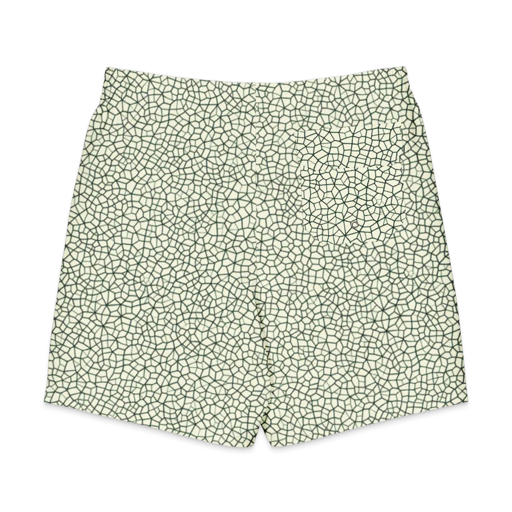 Verdant Fissure on Men's Board Shorts — Back