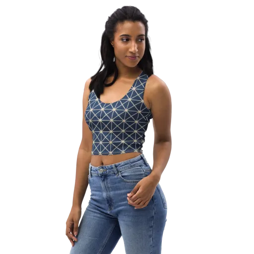 Indigo Star Lattice on a Crop Top