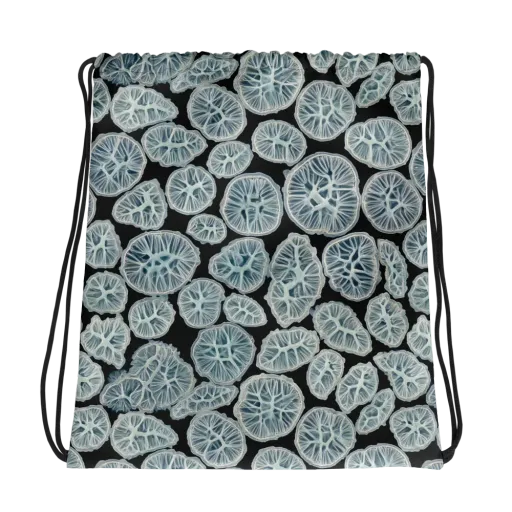 Frosted Citrus on a Drawstring Bag